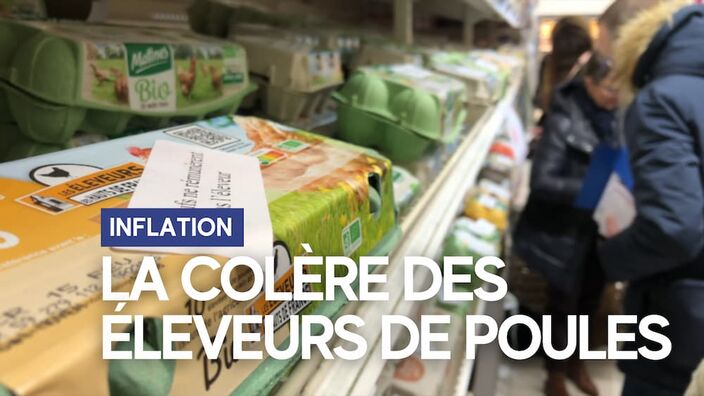 Les producteurs d'œufs réclament une hausse des prix